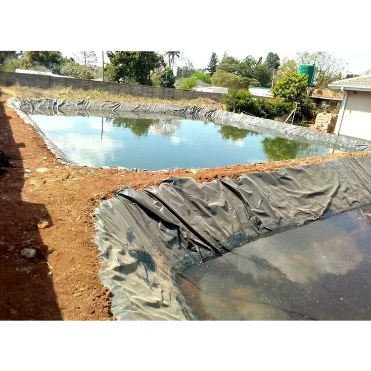 Pond Liner Geotextile Tarpaulin Fish Tanks Hdpe Membranes Geomembranas Hdpe 2 mm Geomembrane