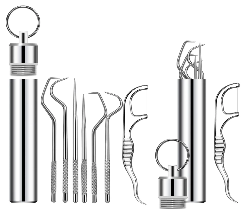 Dental Teeth Pick Stainless Steel Toothpick Set Reusable Tooth Remover Dental Tool Teeth Cleaning Tools for Picnic, Camping