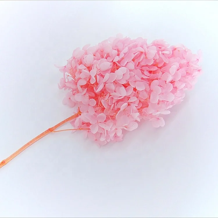 Custom color preserved hydrangea preserved flowers wedding garland floral foam cage