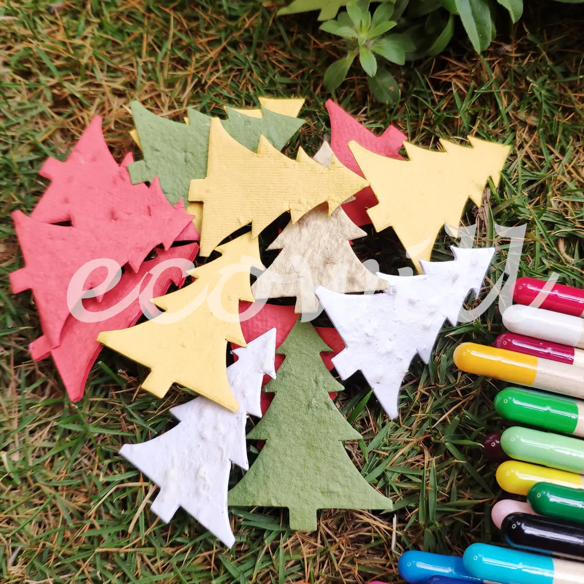 
Рождественская елка, травяные семена, бумажные конфетти с растительными травами, семена овощей 