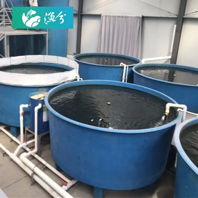 Ras Shrimp Farming Aquaculture Ras Systems Recirculating Aquaculture System Design Ras Indoor Aquaculture Fish Farming Seawater