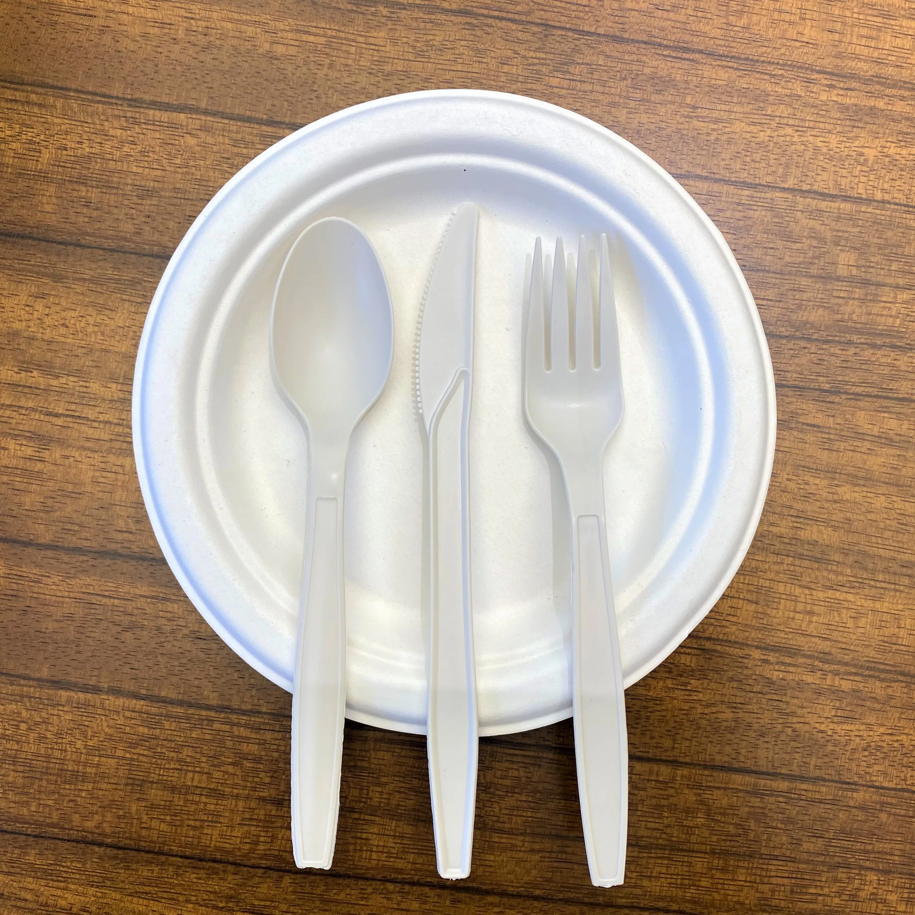 Custom Eco Friendly Individual Bag Plant Cornstarch Tea Soup Spoon Biodegradable Cutlery Disposable