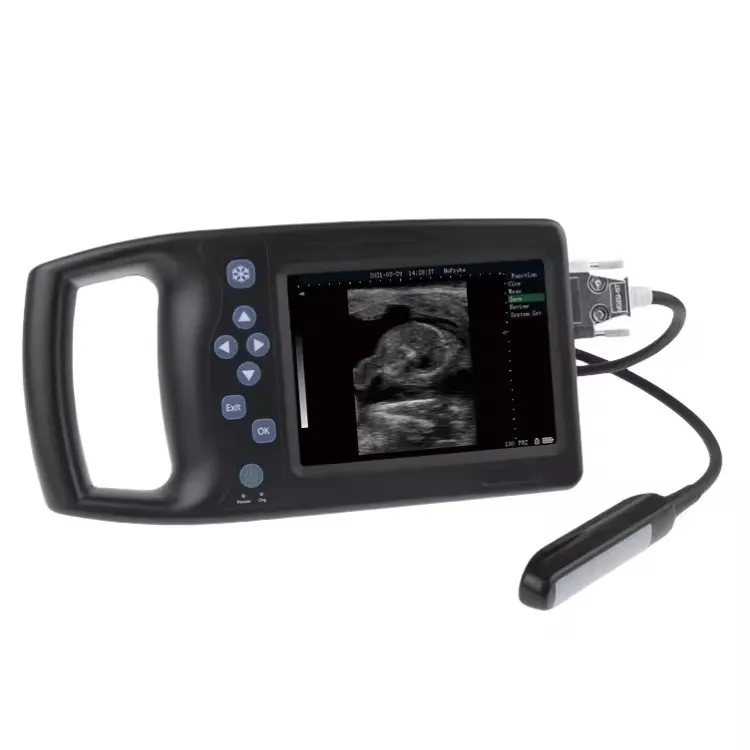 Full Digital Veterinary equipment Routine/backfat /cardiac /obstetric measurements Cattle A8 ultrasound machine price