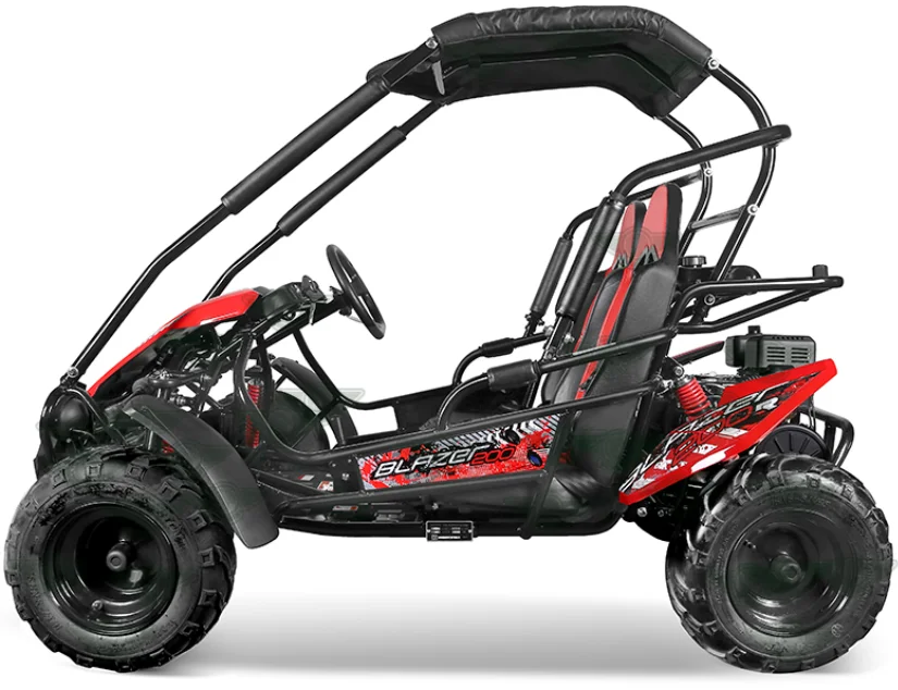 Buggypro Go kart stylish   2 seaters full size   go kart 150cc 200CC  buggy Trailmaster blazer model