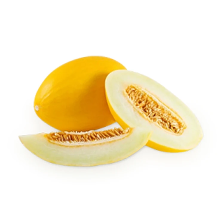 
Wholesale High Quality Fresh Fruit Sweet Yellow Melons From Uzbekistan 