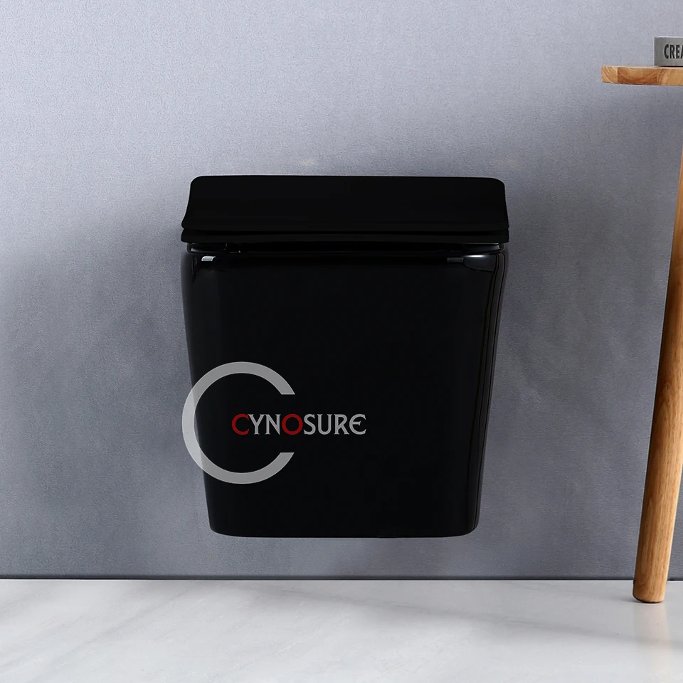 Wholesale Wall Backed Toilets Glossy Black Sanitary Ware Wc Toilet Bowl Wall Mounted Bathroom Toilet