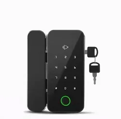 Remote control waterproof Digital Biometric for glass door lock outdoor with key