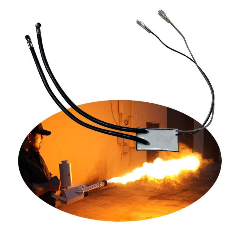 High Quality Hv Transformer Burner Ignition Coil Pulse Igniter Spark Generator For Gas Burners Customizable