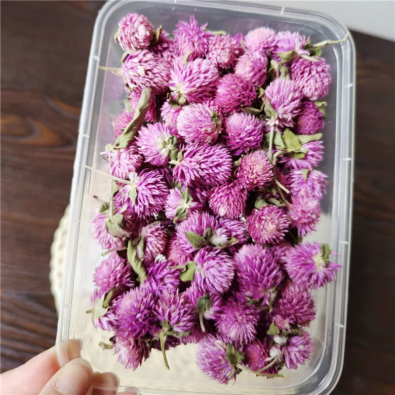 Dried flowers head Globe Amaranth   flower ring decoration handicraft decoration