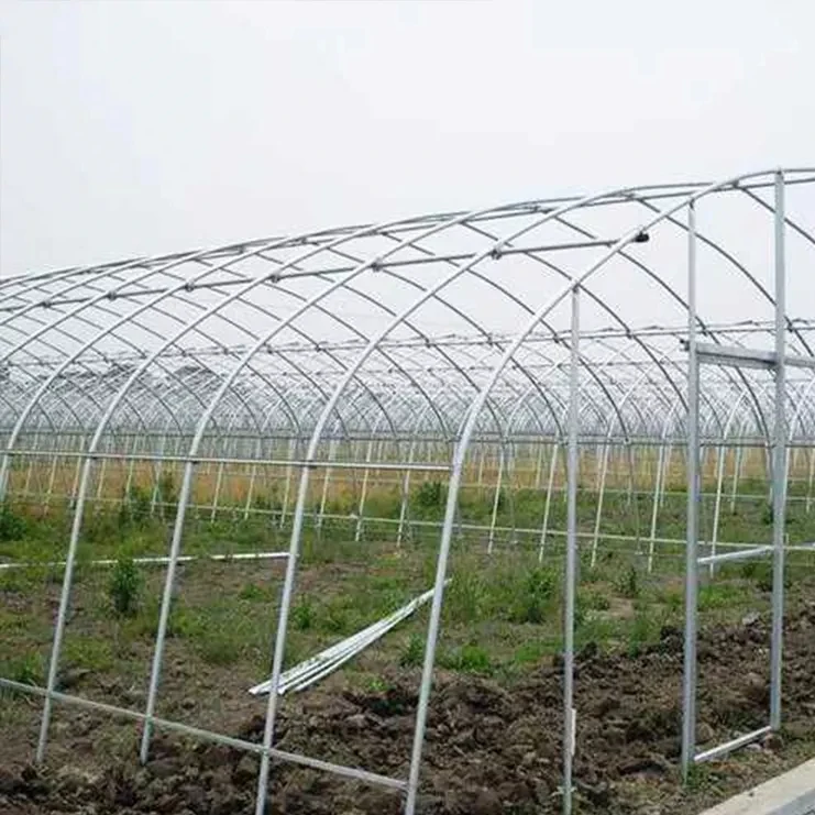 Economic Tunnel Plastic Greenhouse for Vegetable Greenhouse Tube GI pipe