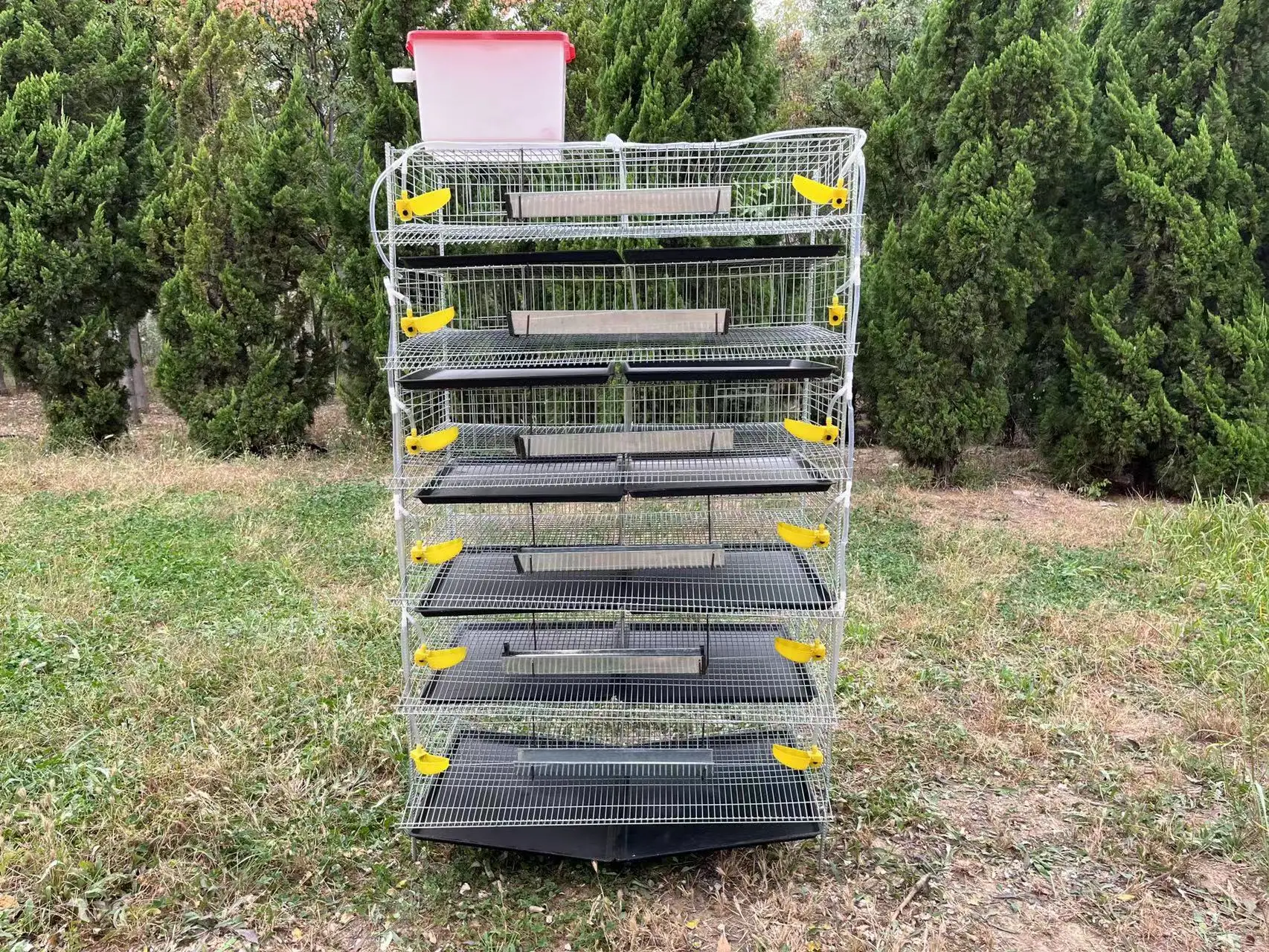 Hot sale quail cage for male and female fertilized eggs commercial quail cage for jumbo quails