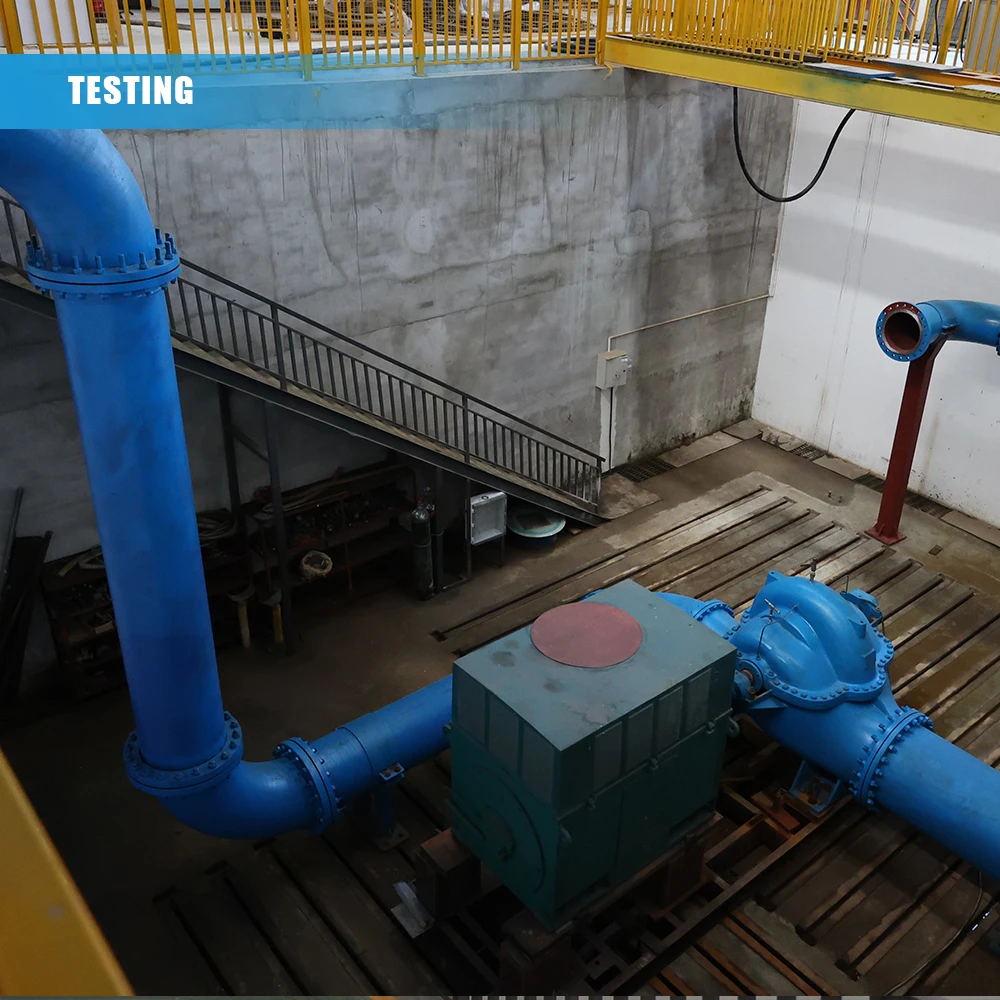 Hefei Huasheng Jet Fuel Hydorgenation Pump Coal Liquefaction Pump Type HB Pressures to 300 bar Hydrocarbon Oil Pump