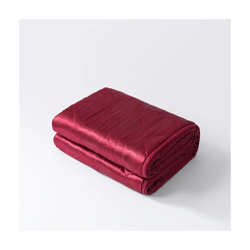 2024 Trending Hot Sale Oeko-Tex 100% 15lb 20lb 25lb Kids Polyester Weighted Blanket