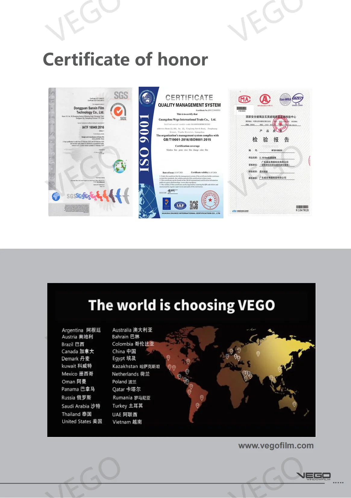 VEGO_03.png