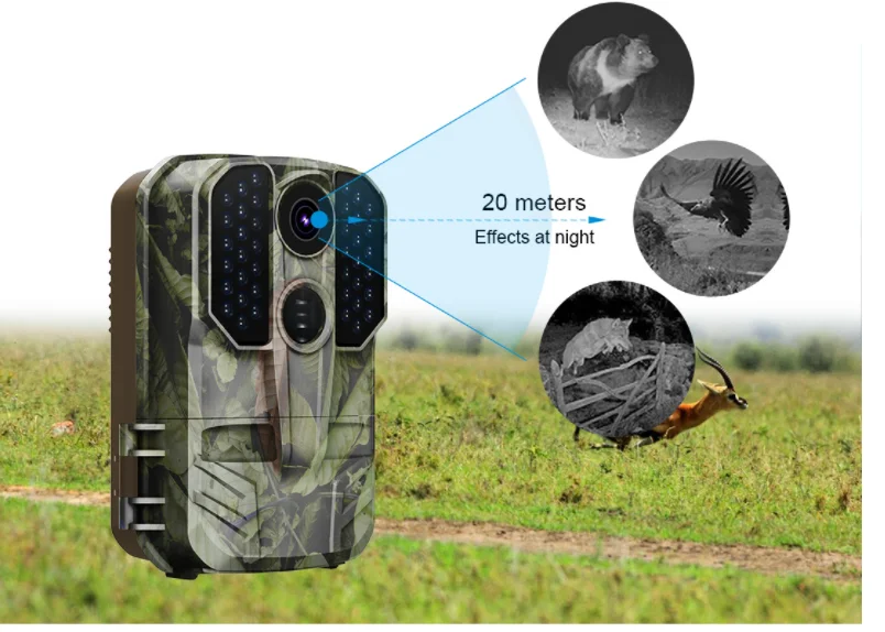 1080p Wildlife Trail Camera Photo Trap Infrared Hunting Cameras Wildlife Surveillance Tracking Camera