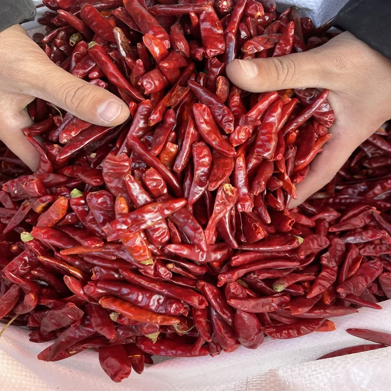 Оптовая продажа, перец, сушеный красный чили, специи, Чили, сушеный красный перец чили