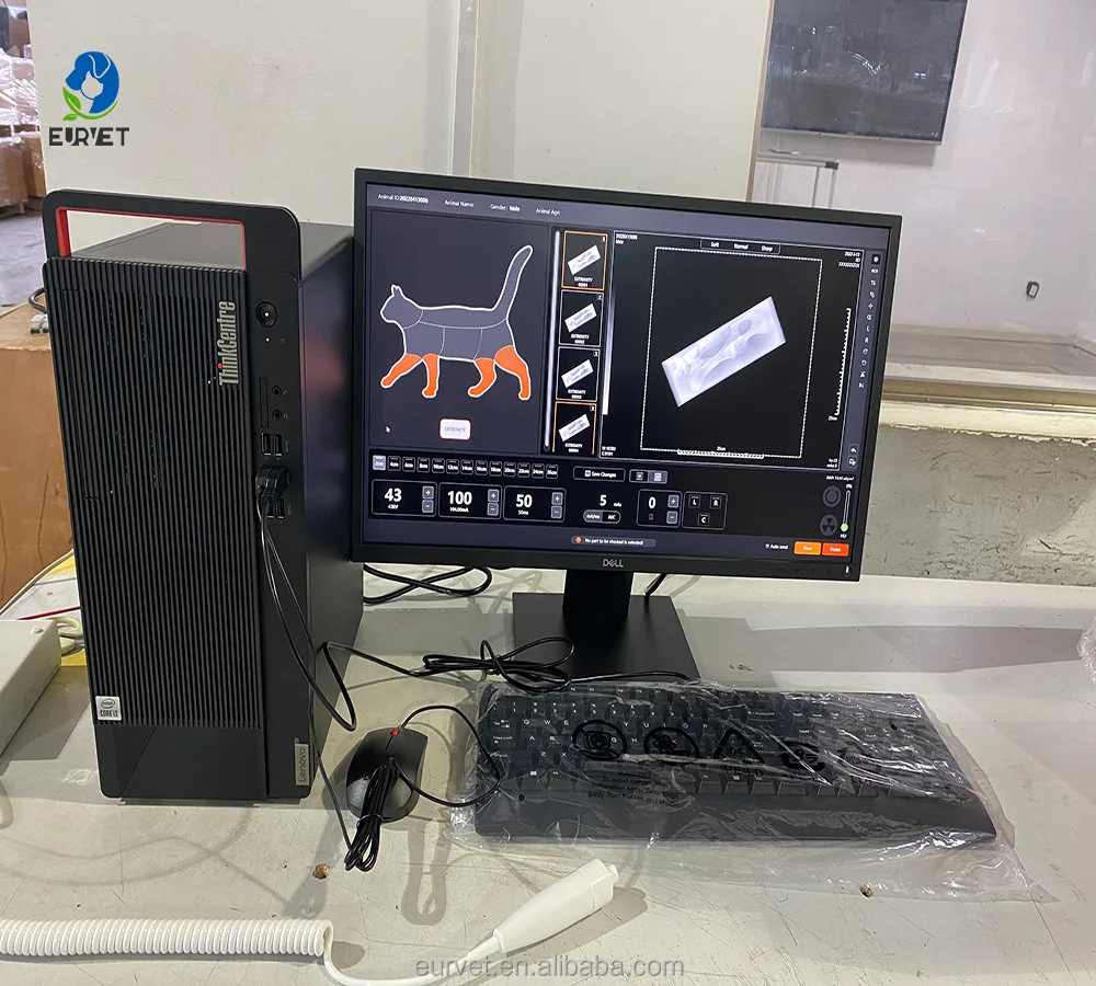 EUR PET Best Price Digital X-Ray Flat Panel Detector Veterinary Equipment Practical 32KW Veterinary X-Ray Machine