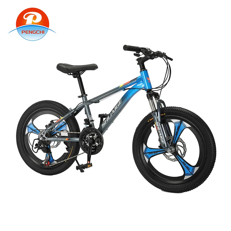 New Model Fat Tire Bicycle Children 20 Inch 21 speed Kids Bike for Kids 2.35 tire Factory Supplie Bikes