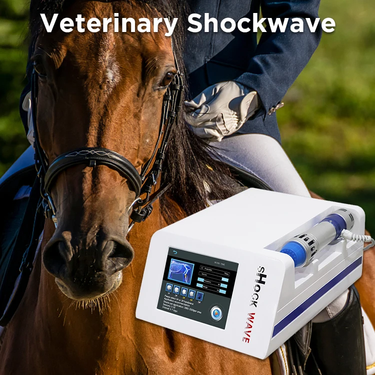 Vet Equine Shock Wave And Air Pressure Shockwave Chiropractic Spine Medical Physiotherapy Equipment