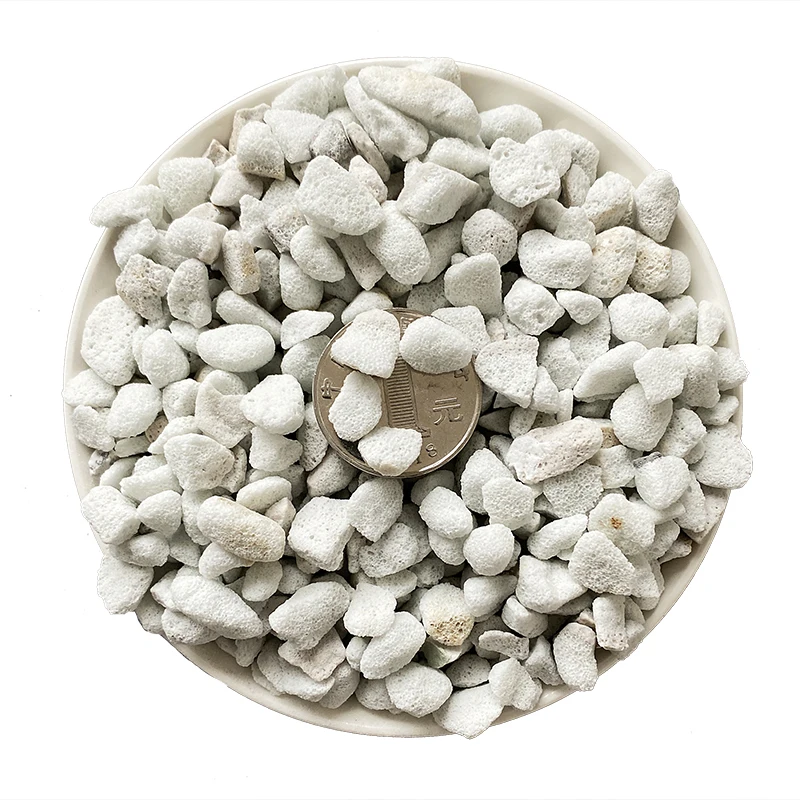 Horticulture Expanded perlite