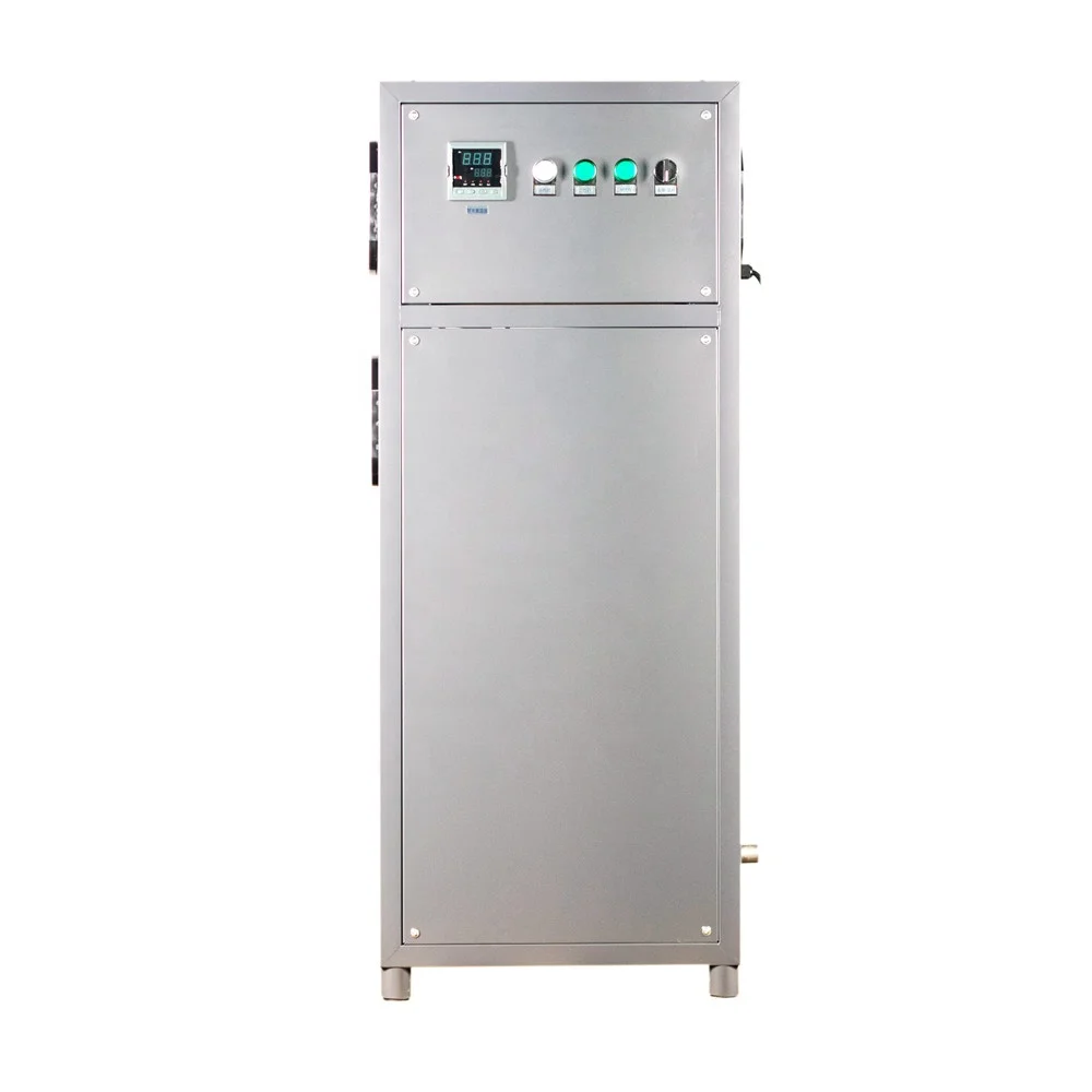 BNP manufacturer DRS series 3,10,50,100,160,250Nm3/hr Ozone destroy device ozone exhaust destroyer ozone destructor