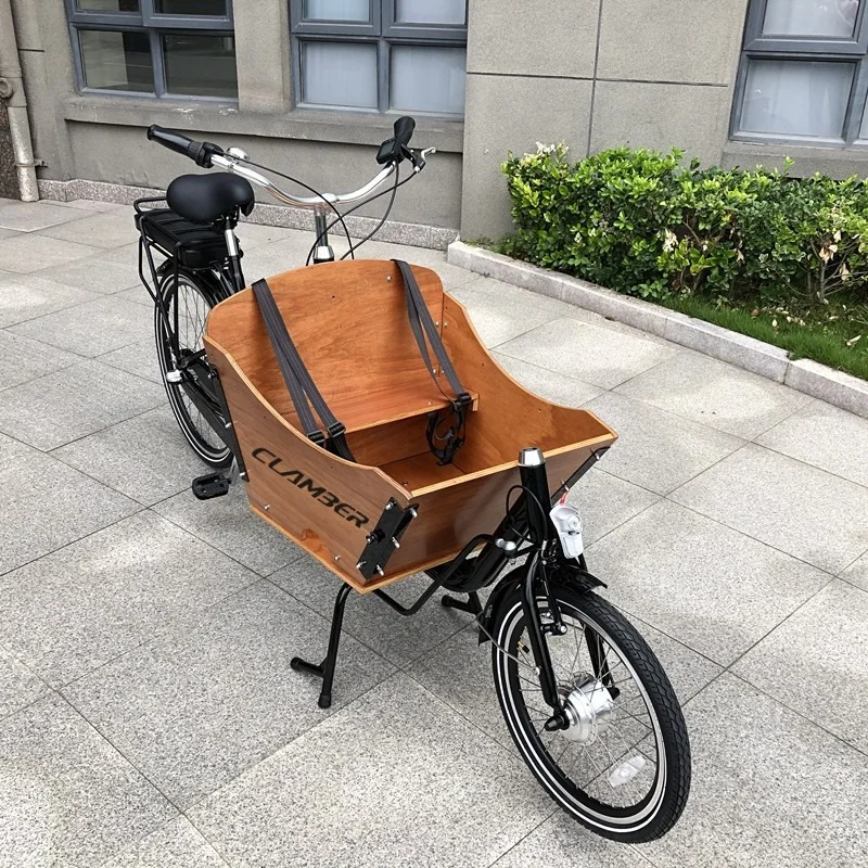 Электрический легкий грузовой велосипед Nexus с 7 скоростями, изготовленный из высококачественного городского велосипеда высокой проходимости/велосипеда/педикюра/грузового трицикла