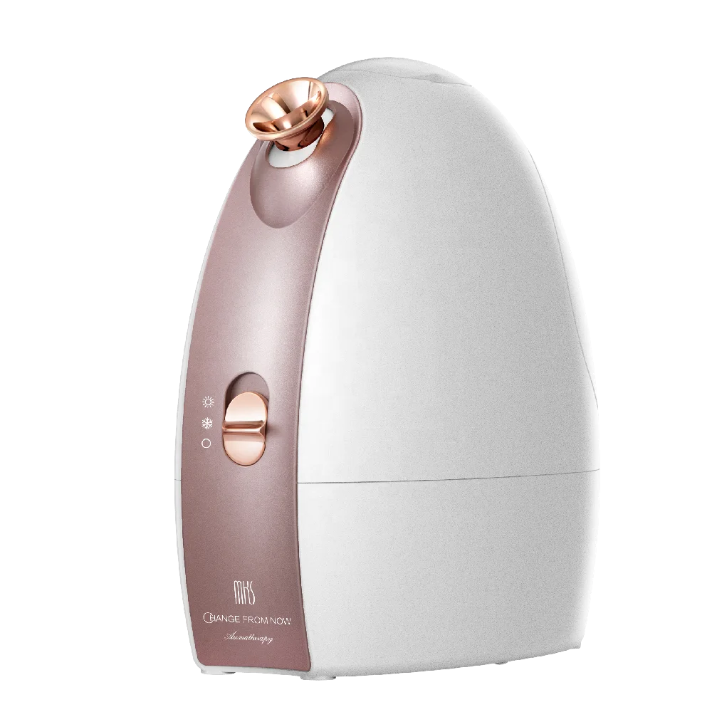 Support Sample Professional Portable Mini Mist Hot And Cold Ionic Vapor Ozone Facial Steamer