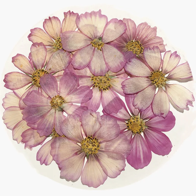 Прессованный высушенный цветок сухие растения подвеска из эпоксидной смолы ожерелье изготовление ювелирных изделий рукоделие аксессуары «сделай сам»