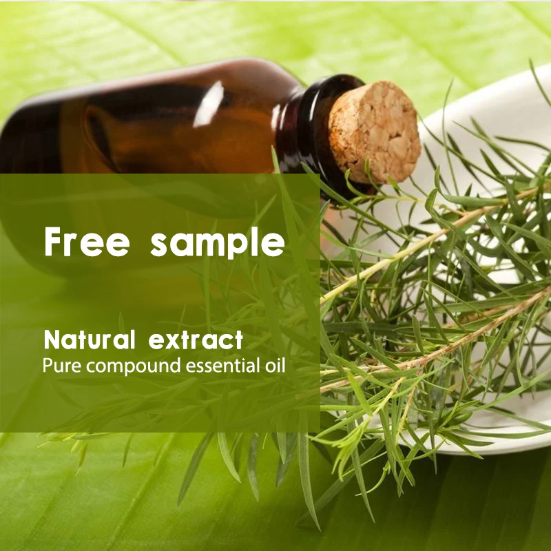 Factory Wholesale Pure Tea Tree Essential Oil Pure Tea Tree Oil for Hair Skin and Nails Plus Aromatherapy and Natural Cleaning