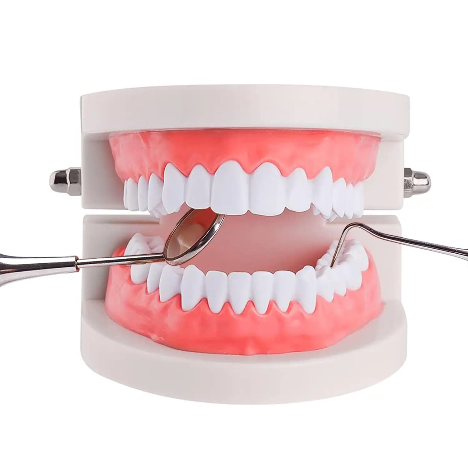 Factory Standard Tooth Model Kid dental brush training and practice dentist gifts for kids kids doctor set toy pretend play