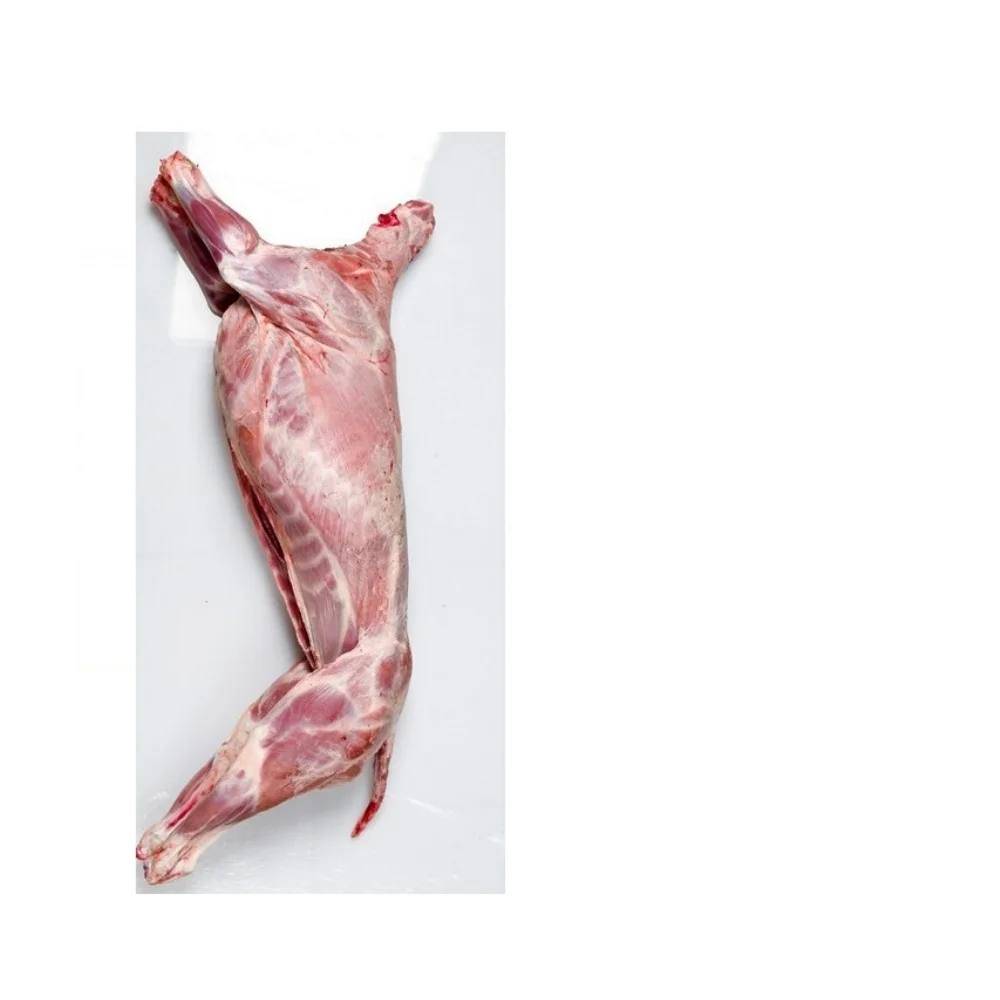 Organic wholesale frozen halal lamb/mutton  from Kazakhstan
