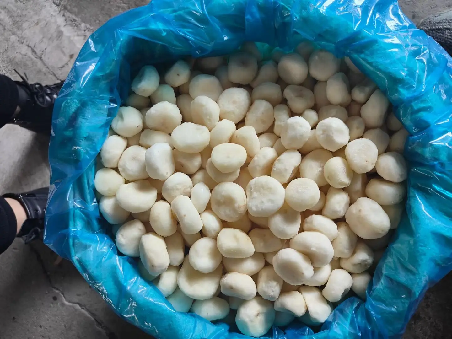 New crop  frozen water chestnut iqf frozen vegetables