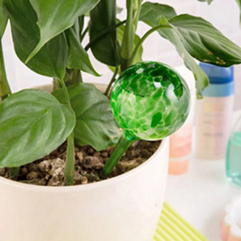 Indoor Plant Automatic Watering Bulb Glass Ball Self Watering Globes Garden Water Drip Ball For Potted Plant Aqua Globes