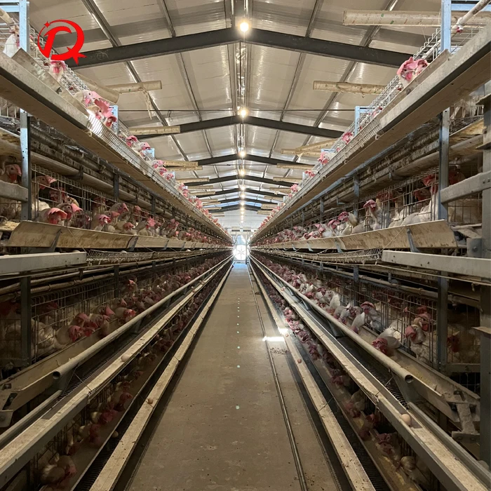 chicken breeding cage /egg laying hen cage / chicken cage for sale