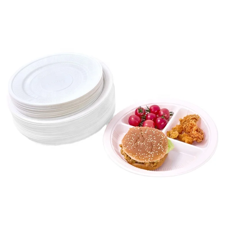 Available Plates Disposable Party Food Dinner Plate Set For Party