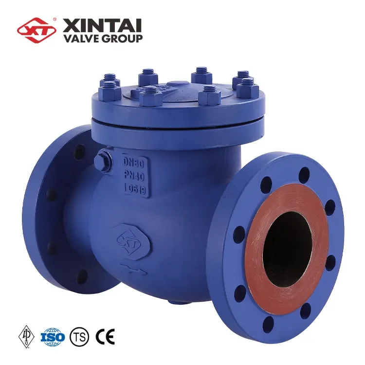 API6D DN80 40C German DIN Standard Low Pressure WCB Swing Type Check Valve Used In the Steam System
