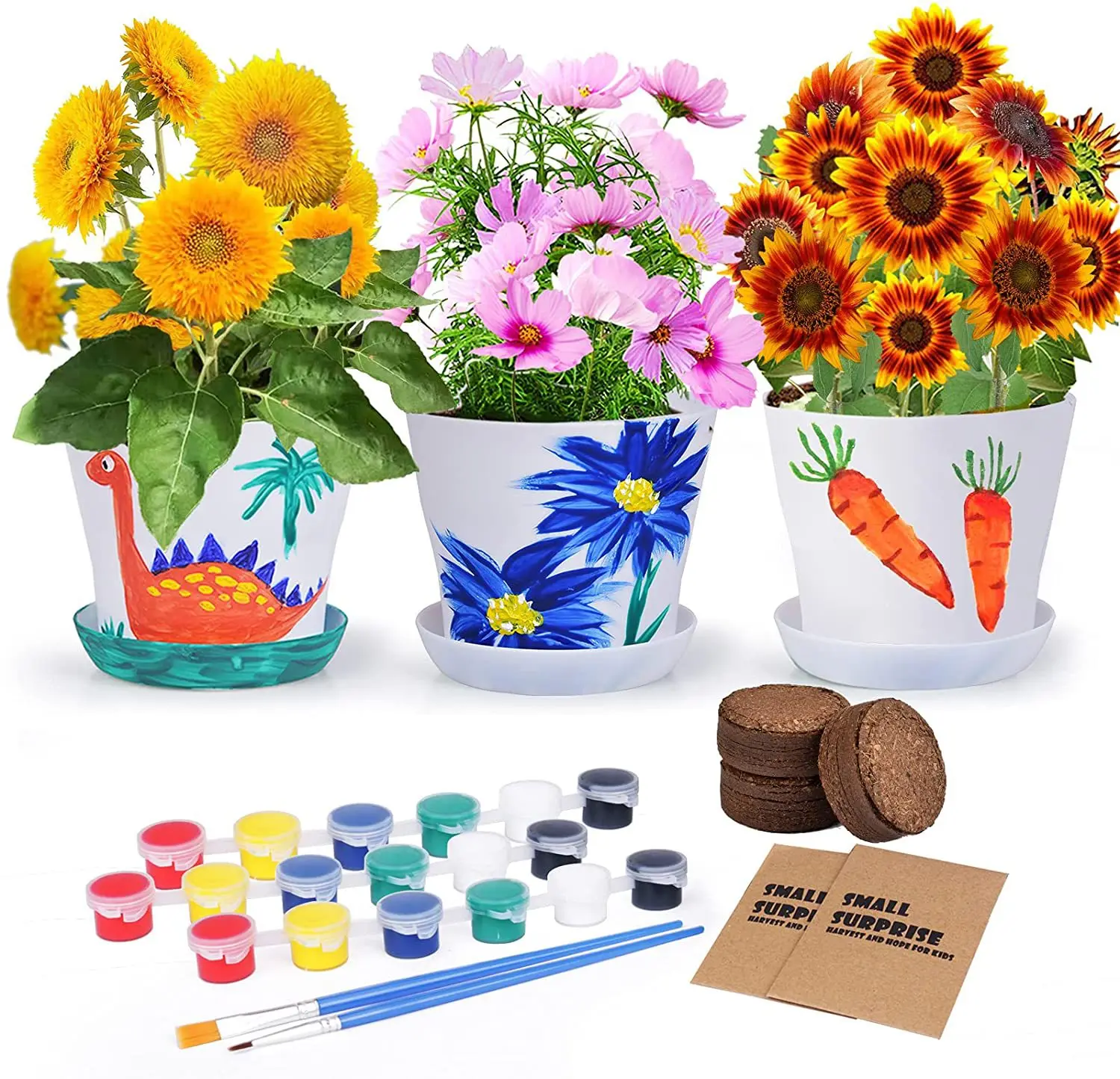 DIY Children Indoor and Outdoor Mini Green Plant Planting Set Small Set Factory Plant Pot Wholesale