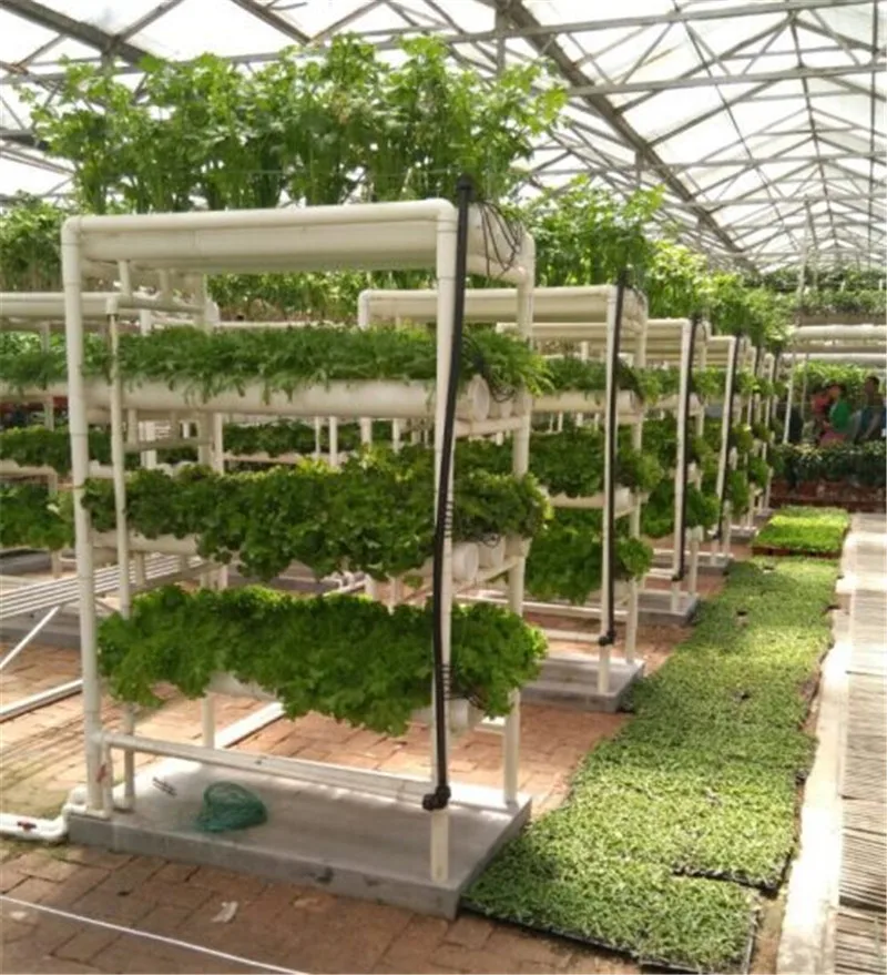 Large size hydroponic container farm plastic greenhouse hydroponic flood tray is scheduled polytunnel greenhouse