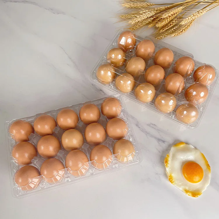 15 пластиковых коробок для яиц