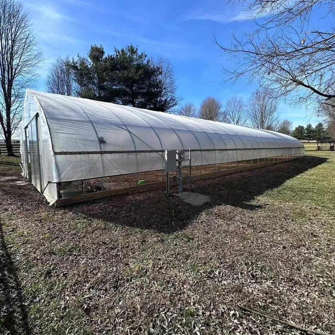 High Quality Cooling System Greenhouse Complete Set Design China Wholesale Commercial Greenhouse for Snail Farming