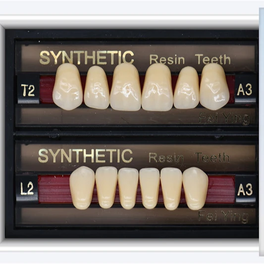 Factory OEM Service Hard Arylic Resin  Artificial Dental Teeth with excellent polishing