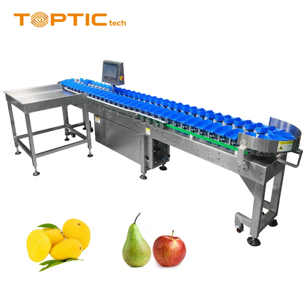 TT-WSM-02 Automatic Weight Sorting Machine Weight Sorter for Mango sorter and fruit sorter