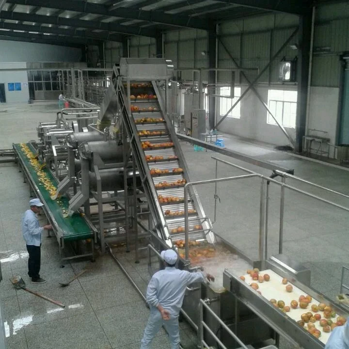 Kingwish factory turnkey project full automatic mango jam processing line/Mango juice processing line from A to Z