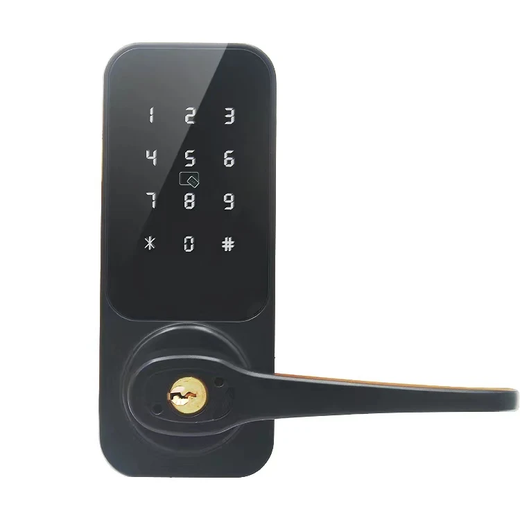 Fingerprint Intelligent Digital Push Pull Smart Door Lock Ttlock Digital Keypad Biometric Door Lock