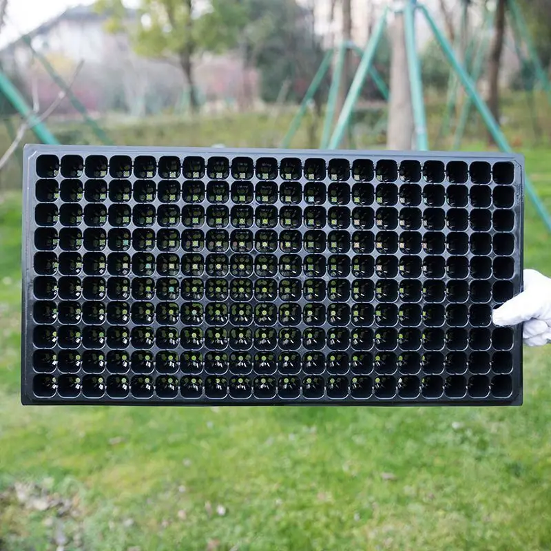 200 288 cells plug plastic seed trays mango plant propagation seedling trays plastic nursery tray