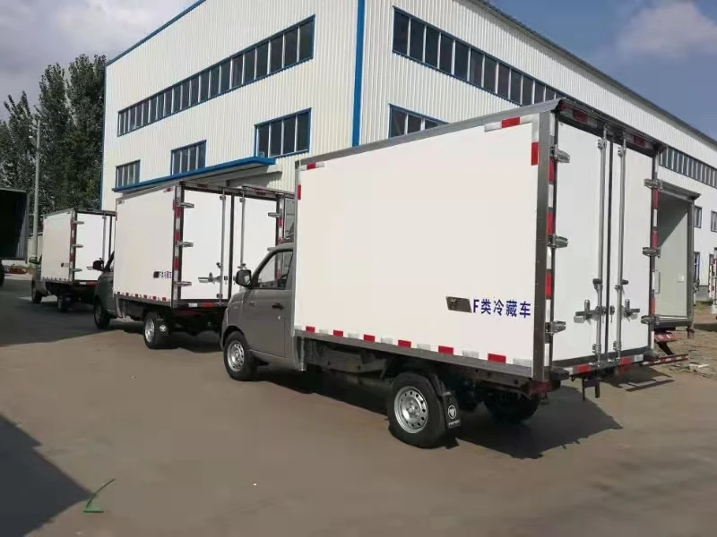 Professional Refrigerated Cold Room Van Truck Bodies Mini Refrigerated Truck