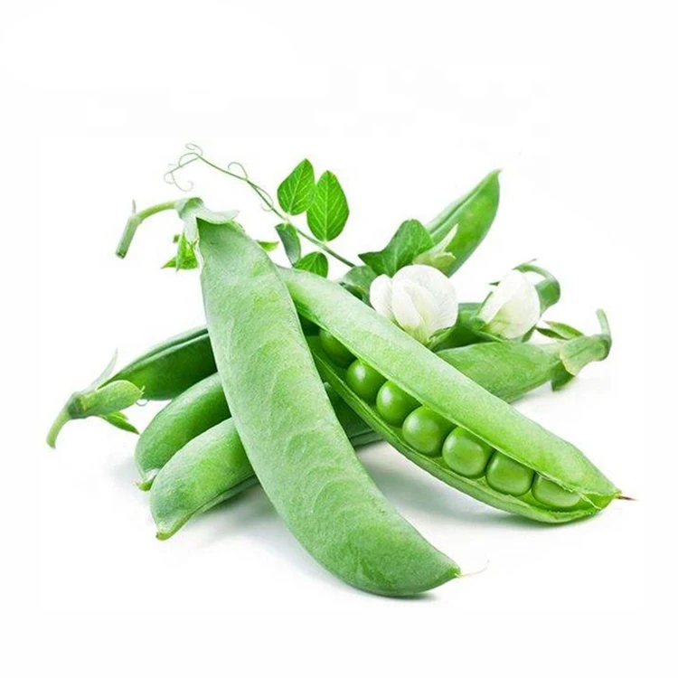 Bulk hydrolyzed pea protein wholesale pea protein powder 25kg