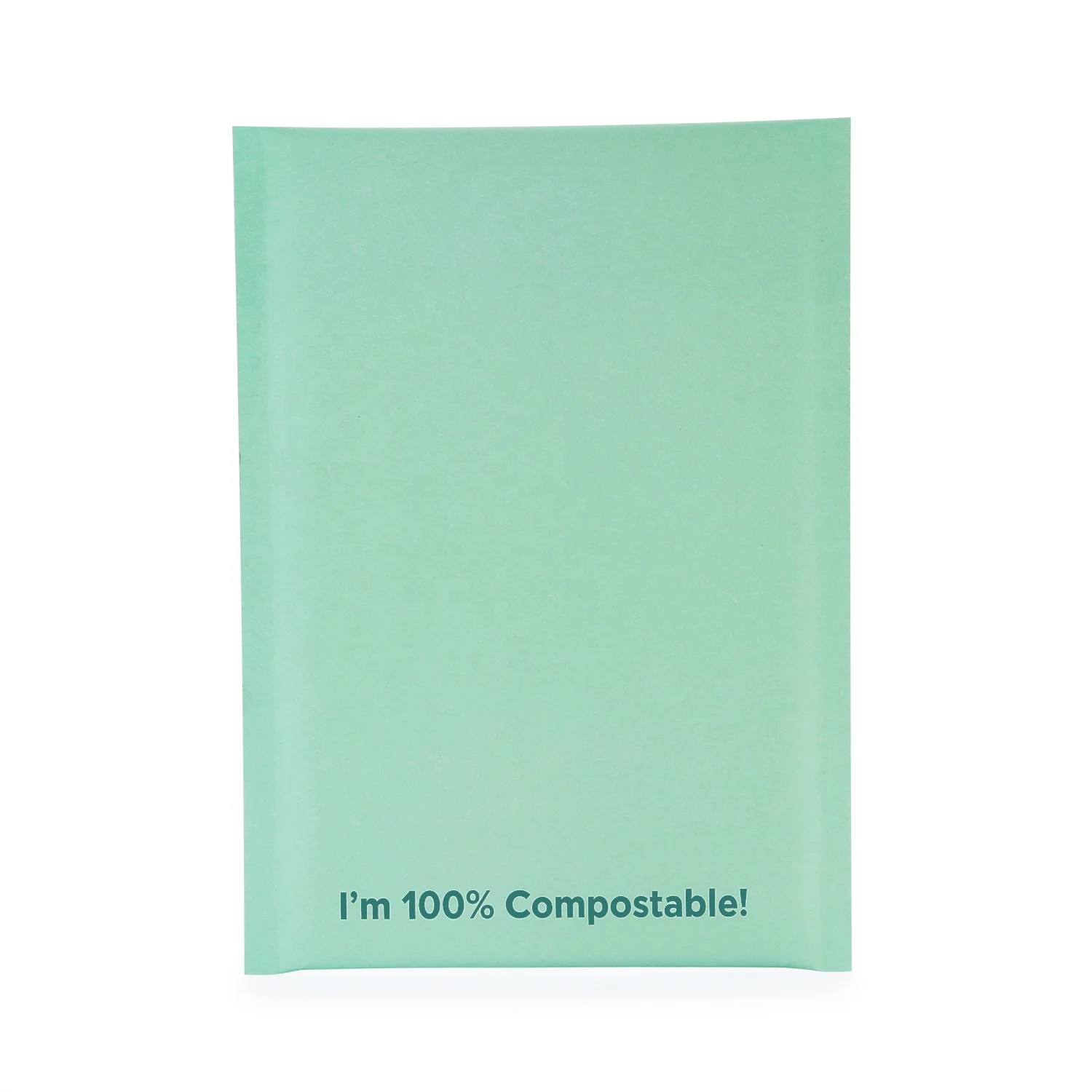 Compostable Big Custom Design High Buyers Waterproof Mint Green Kraft Bubble Mailer With Logo Paper