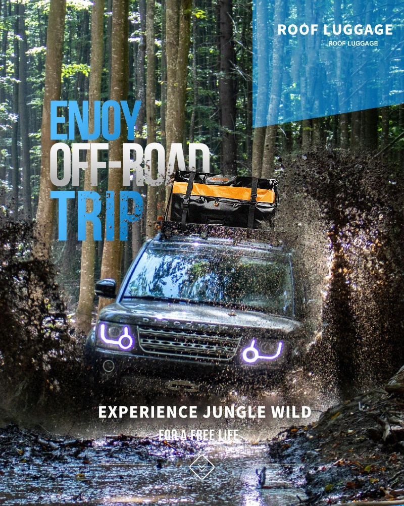 Car Roof Bag 15.jpg