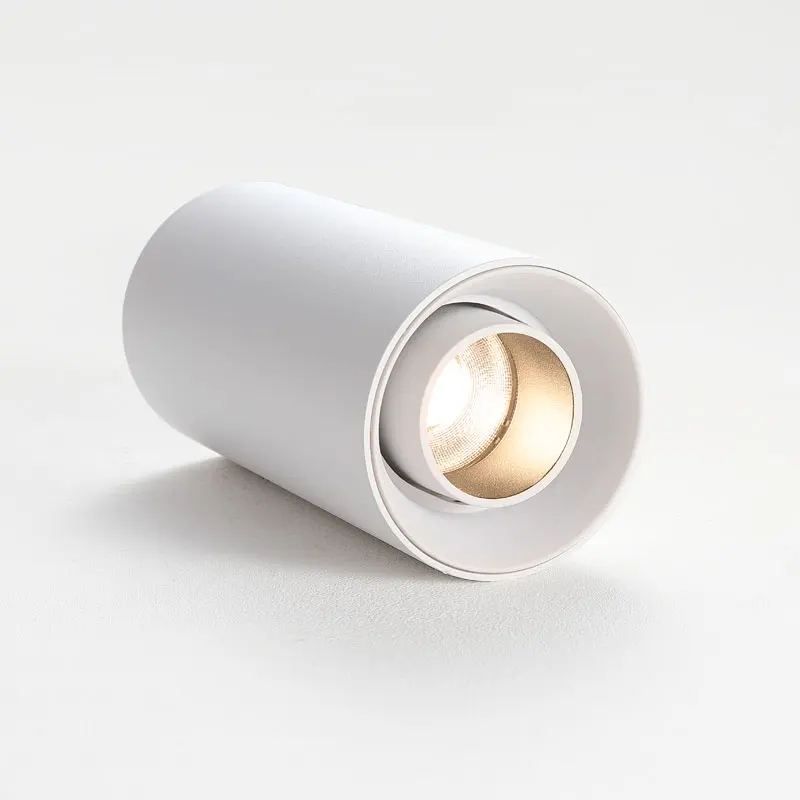 LED Ceiling Downlight Surface Mounted Spotlight 8W 10W LED Downlight Fixtures Indoor Lighting